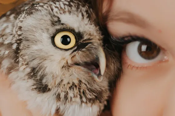 קזינו בי בטס תמיכה